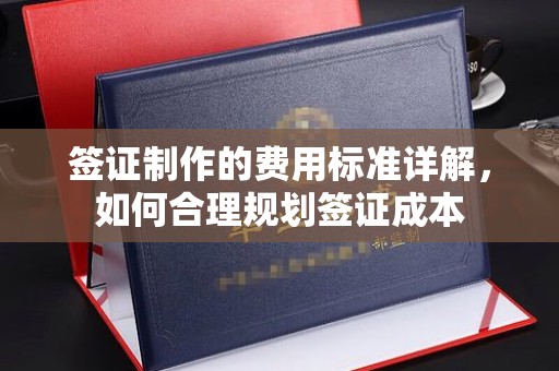 光泽签证制作的费用标准详解，如何合理规划签证成本